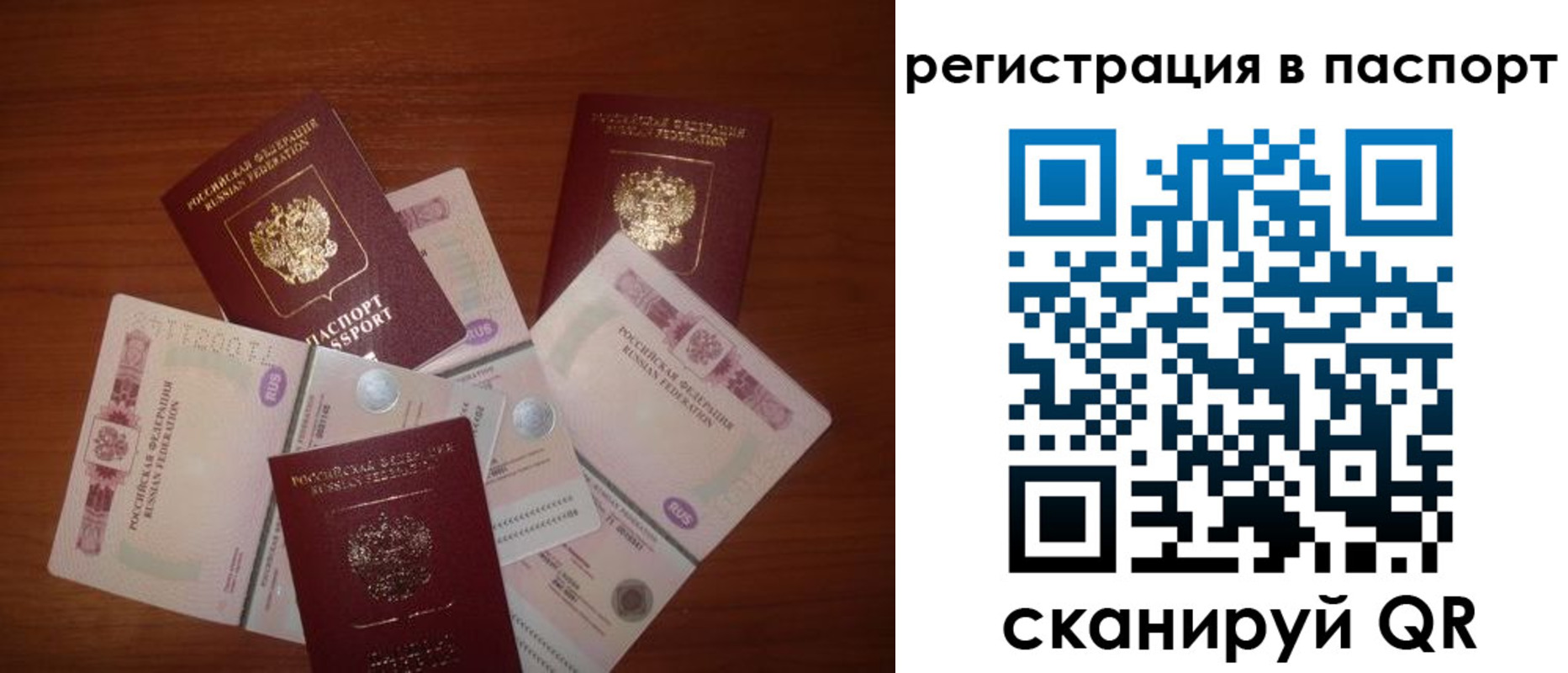 временная регистрация поиск в Псковской области